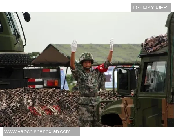 深圳篮球队的默契配合与战术分析探索之旅
